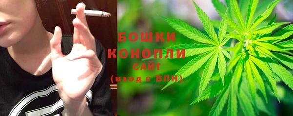 стафф Гусь-Хрустальный