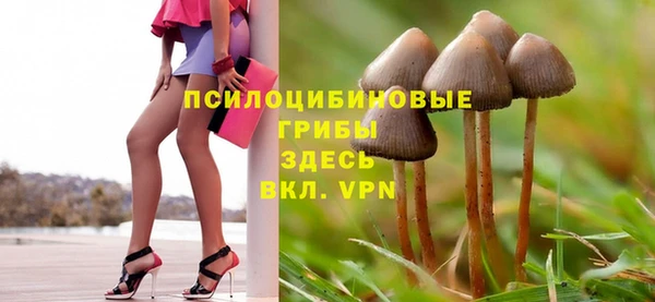 дурь Горно-Алтайск