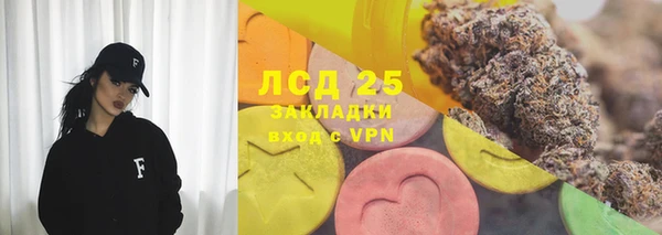 ешки Тайга