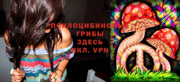 ECSTASY Гусиноозёрск