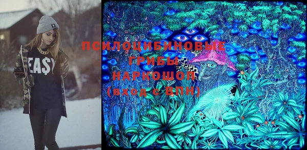стафф Гусь-Хрустальный