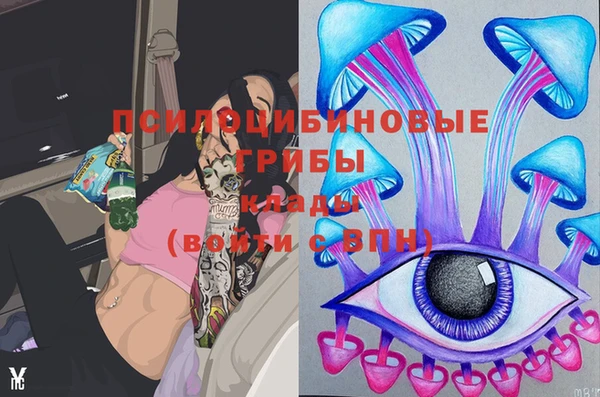 стафф Гусь-Хрустальный