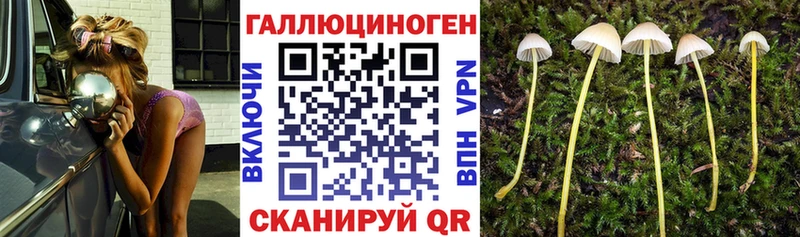 Купить закладки  Калачинск  Галлюциногенные грибы мухоморы 